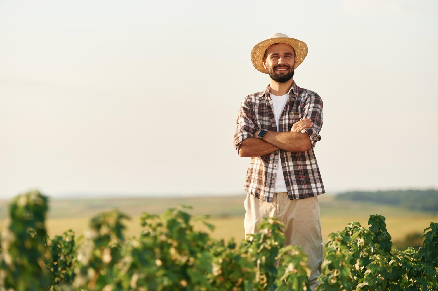 143933 (1) 143933 (1)